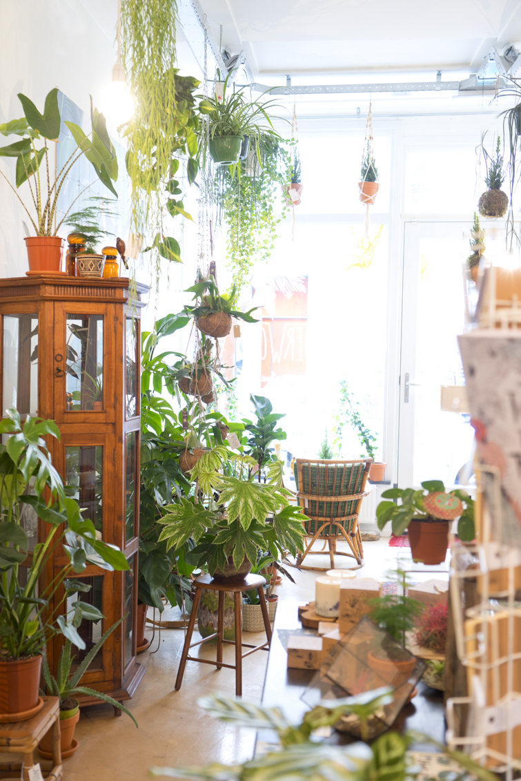 JOELIX.com | Oerwoud plant shop in Den Bosch - The Netherlands