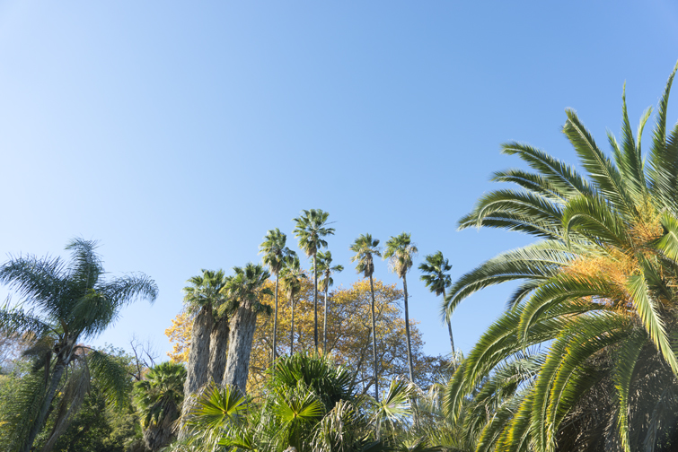 JOELIX.com | Botanical Garden in Rome #botanicalgarden #roma #ortobotanico #rome