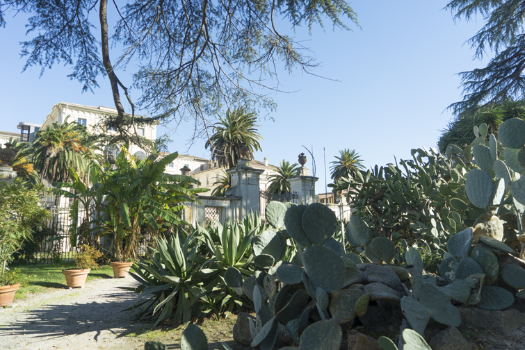 JOELIX.com | Botanical Garden in Rome #botanicalgarden #roma #ortobotanico #rome