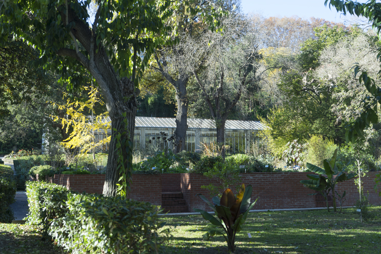 JOELIX.com | Botanical Garden in Rome #botanicalgarden #roma #ortobotanico #rome