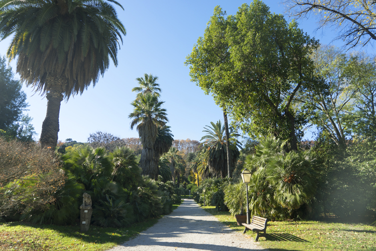 JOELIX.com | Botanical Garden in Rome #botanicalgarden #roma #ortobotanico #rome