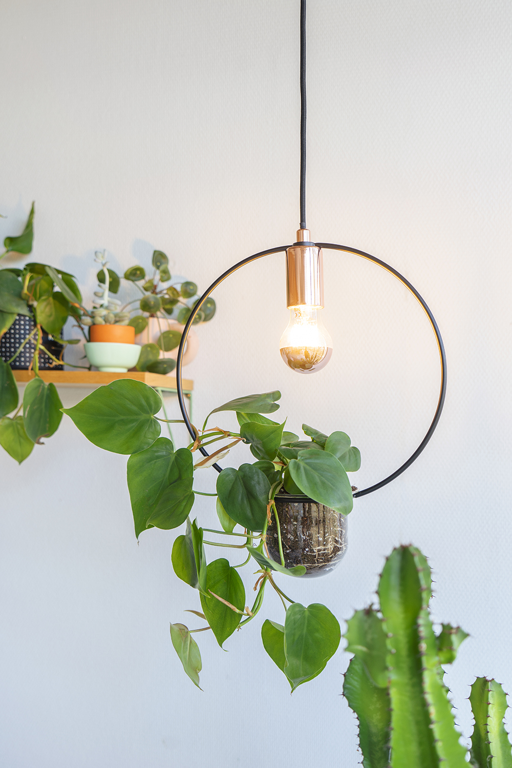 JOELIX.com | Paulmann plant lamps #urbanjunglebloggers #paulmann #planthanger #lamp #lighting