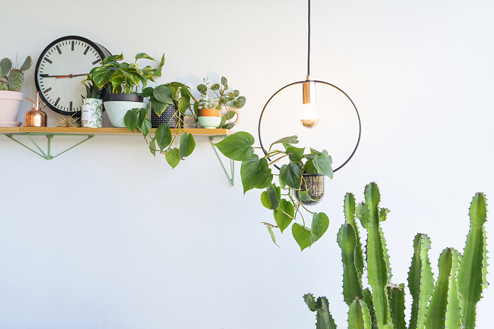 JOELIX.com | Paulmann plant lamps #urbanjunglebloggers #paulmann #planthanger #lamp #lighting