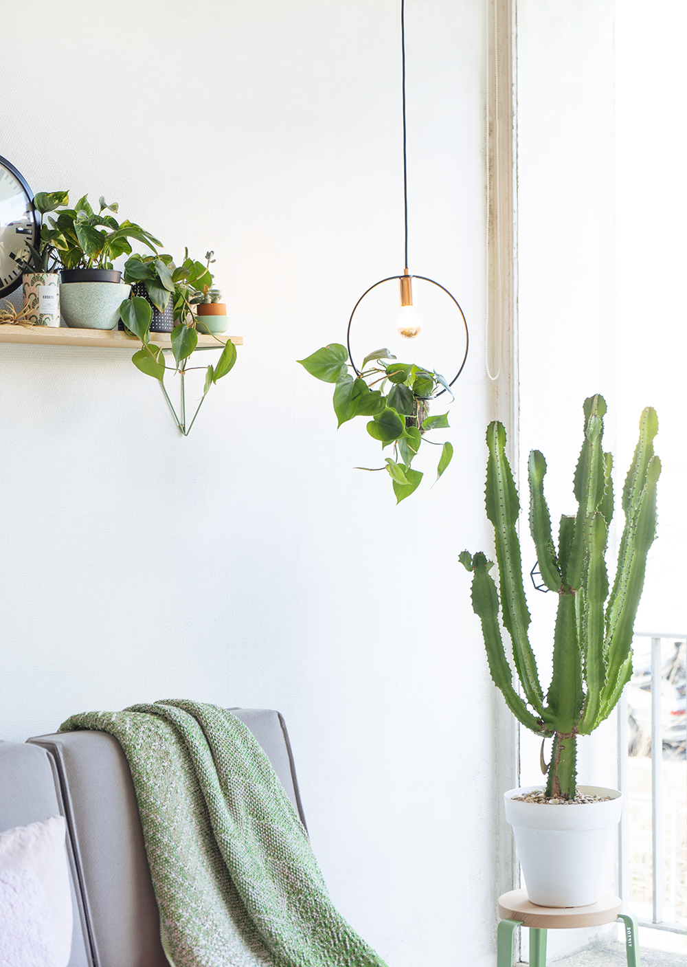 JOELIX.com | Paulmann plant lamps #urbanjunglebloggers #paulmann #planthanger #lamp #lighting