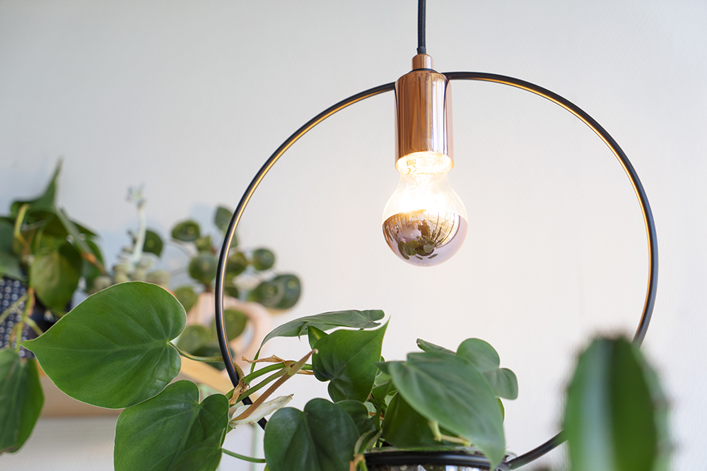 JOELIX.com | Paulmann plant lamps #urbanjunglebloggers #paulmann #planthanger #lamp #lighting