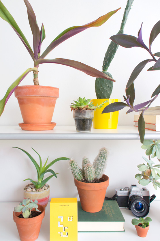 JOELIX.com | Urban Jungle Bloggers Plantshelfie