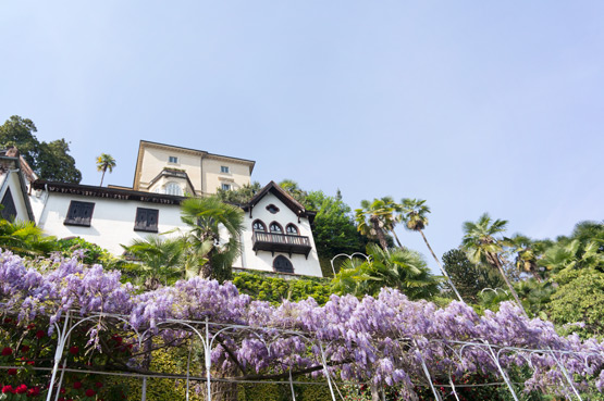 JOELIX.com | Purple wisteria in Italy