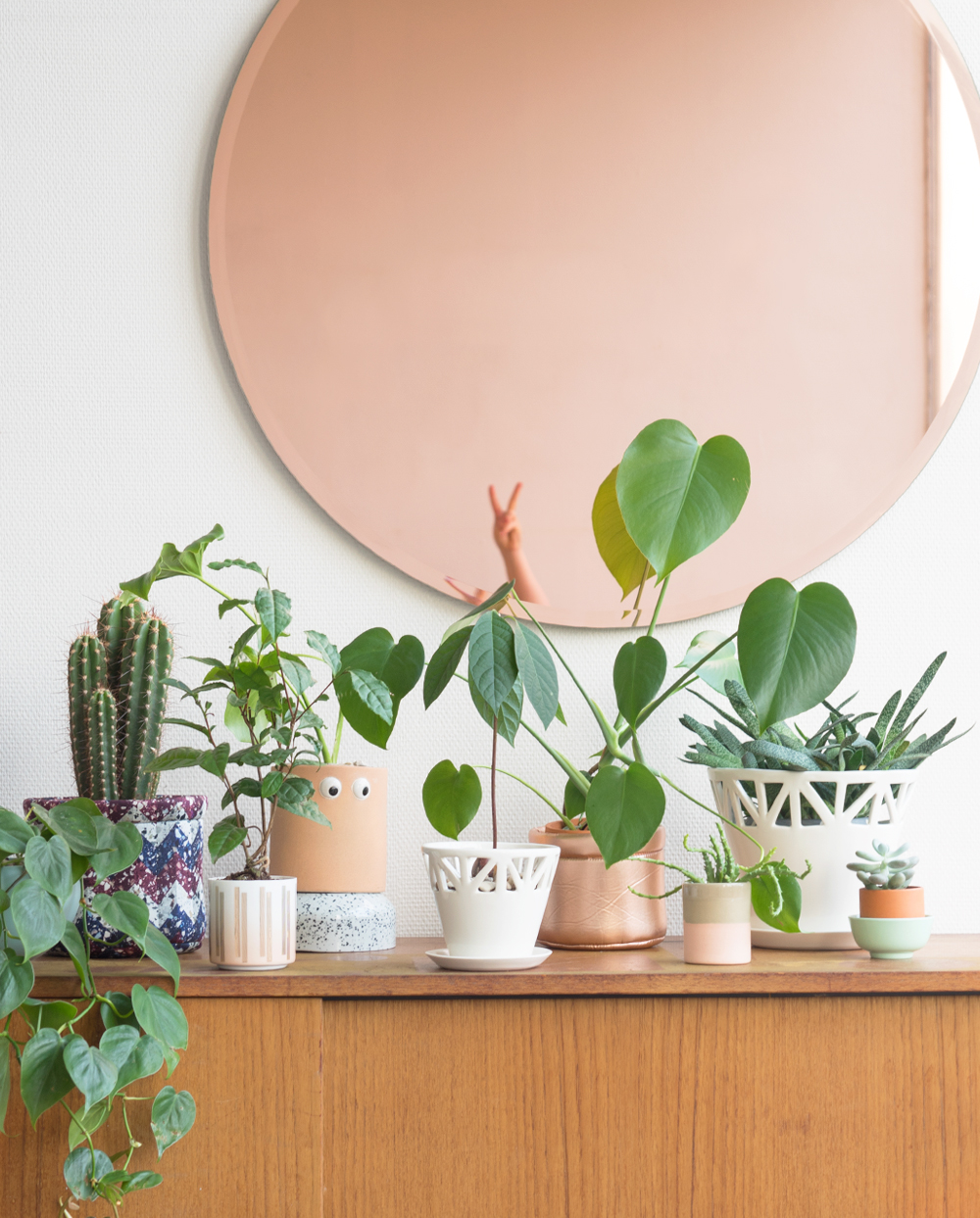 JOELIX.com | How to get featured on Martha Stewart's Instagram #instagram #sideboard #urbanjunglebloggers #houseplants