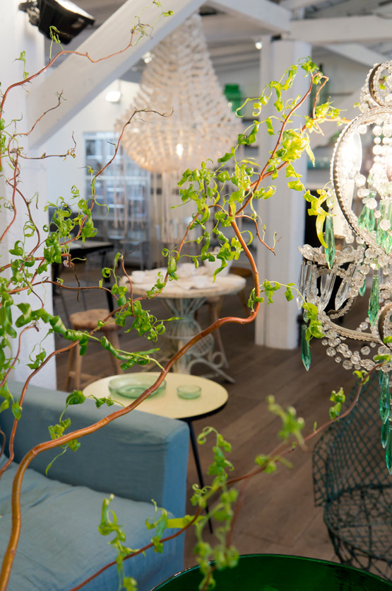 JOELIX.com | Spring at Merci Paris shop green branches