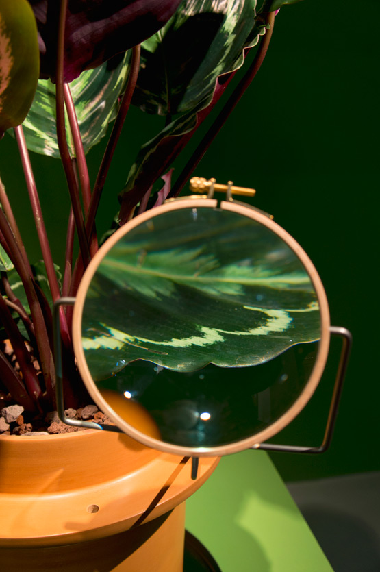 JOELIX.com | Greens at Maison et Objet Paris 2015