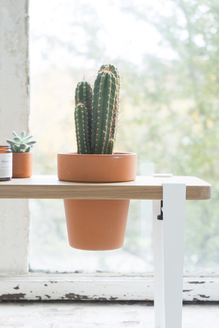 JOELIX.com | TIPTOE x Bergamotte plant bench #urbanjunglebloggers