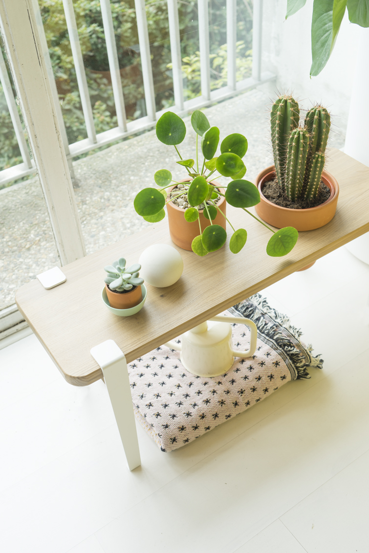 JOELIX.com | TIPTOE x Bergamotte plant bench #urbanjunglebloggers