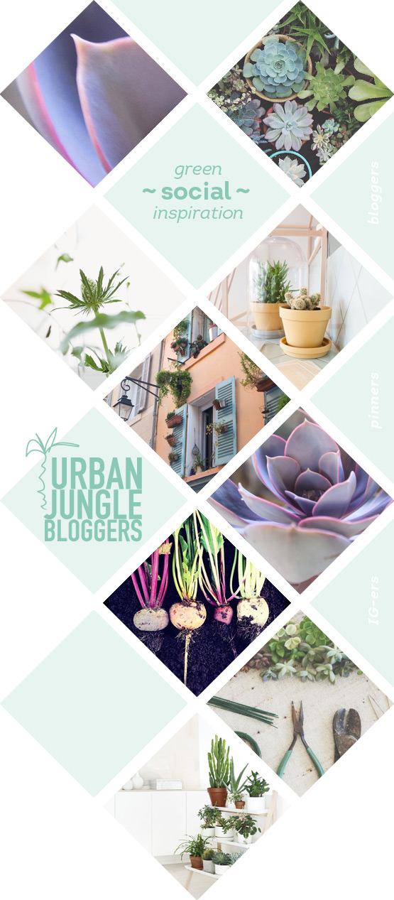 JOELIX.com | Urban Jungle Bloggers - social green inspiration - best bloggers pinners instagrammers