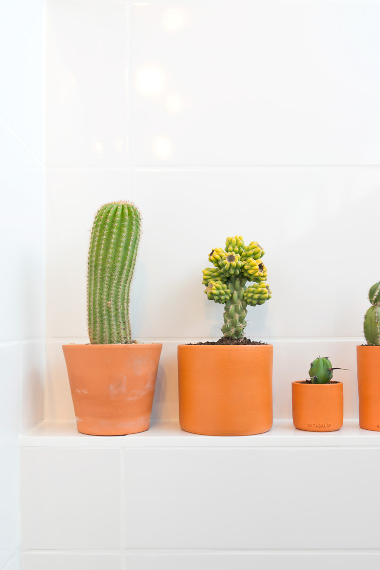 JOELIX.com | Urban Jungle Bloggers #plantshelfie