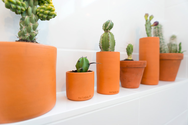 JOELIX.com | Urban Jungle Bloggers #plantshelfie