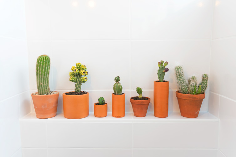 JOELIX.com | Urban Jungle Bloggers #plantshelfie