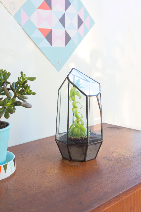 JOELIX.com | Urban Jungles glass terrarium + giveaway