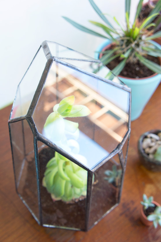 JOELIX.com | Urban Jungles glass terrarium + giveaway
