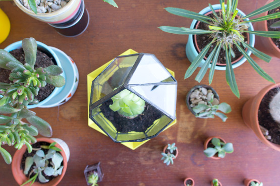 JOELIX.com | Urban Jungles glass terrarium + giveaway