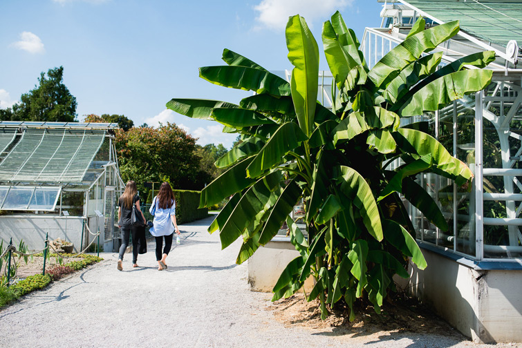 JOELIX.com | Urban Jungle book booklaunch in Munich