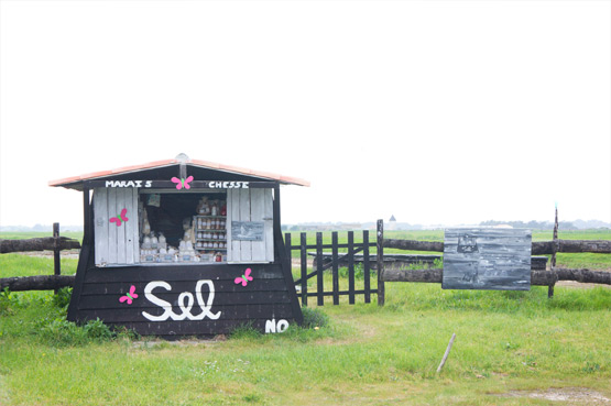 JOELIX.com | Salt in Ile de Noirmoutier France