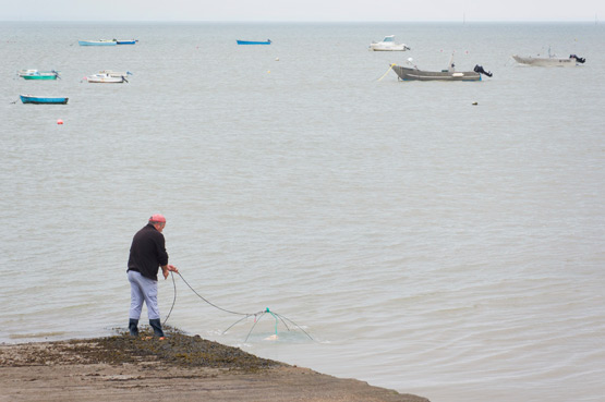 JOELIX.com | Sardine fishing at the Atlantic Coast in France