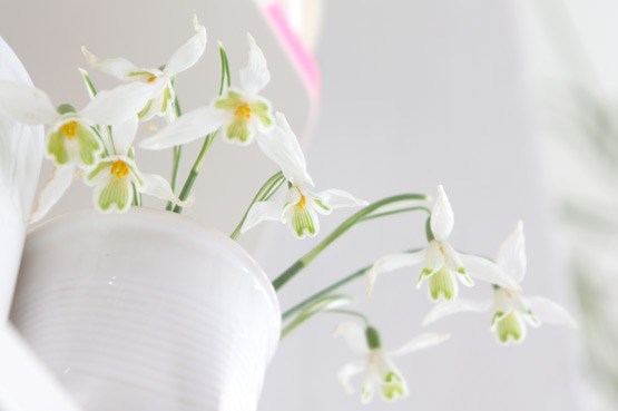 JOELIX.com | White snowdrops in a mini bouquet