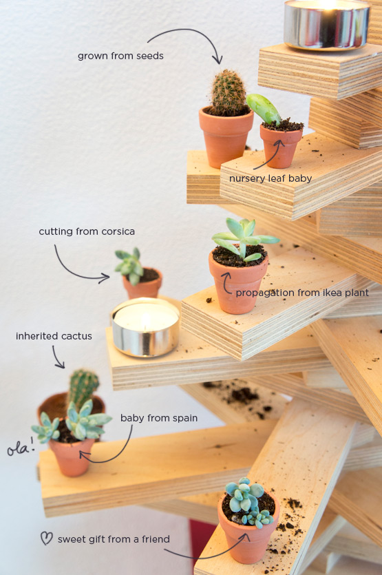 JOELIX.com | Plywood Christmas tree with succulents and cacti