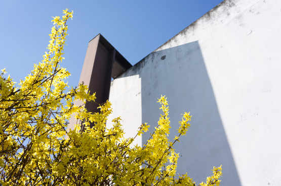 JOELIX.com | Yellow Forsythia and blue sky at Studio Sapique in France