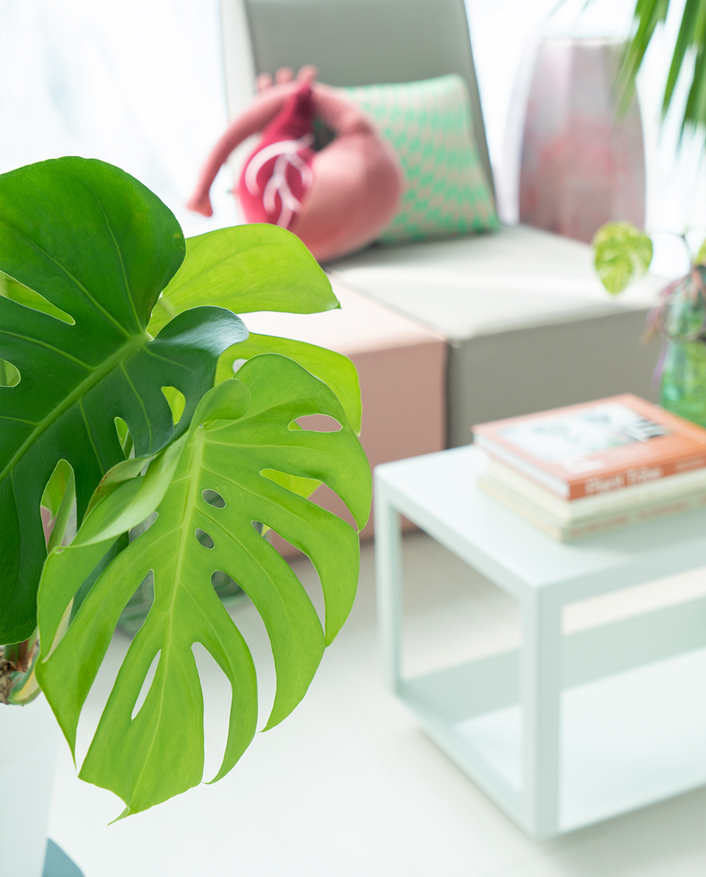 JOELIX.com | Cubit steel table in grey with plants #urbanjunglebloggers