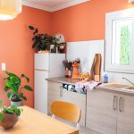 JOELIX.com | painting the kitchen with Blime Coral Brick