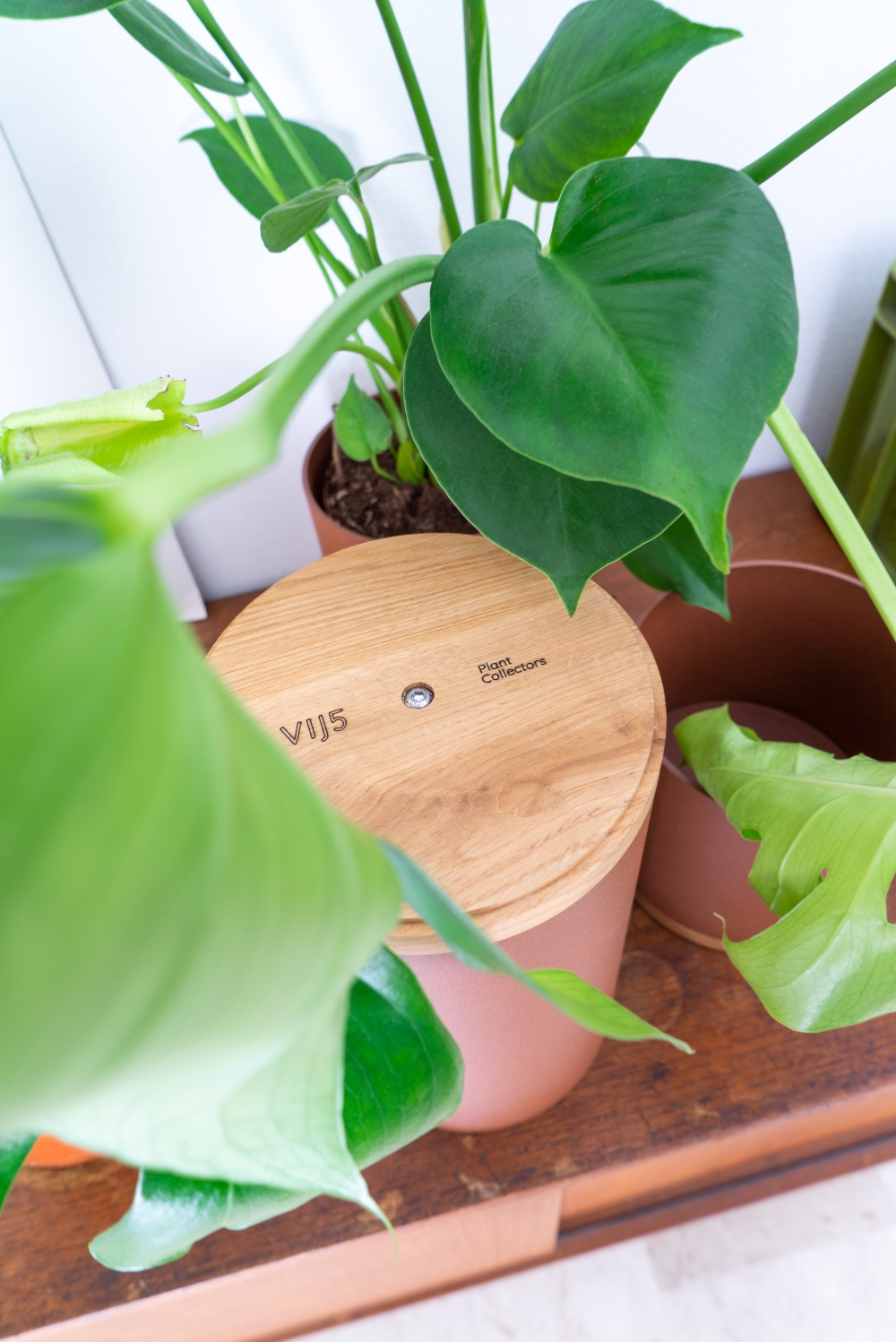 JOELIX.com | Plant Collectors VIJ5 dutch design #urbanjunglebloggers