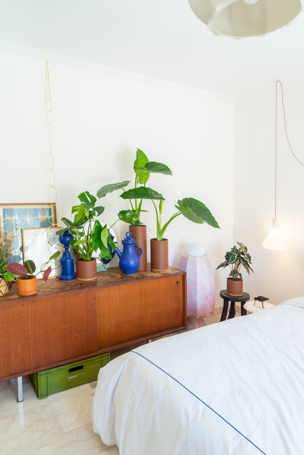 JOELIX.com | Plant Collectors VIJ5 dutch design #urbanjunglebloggers