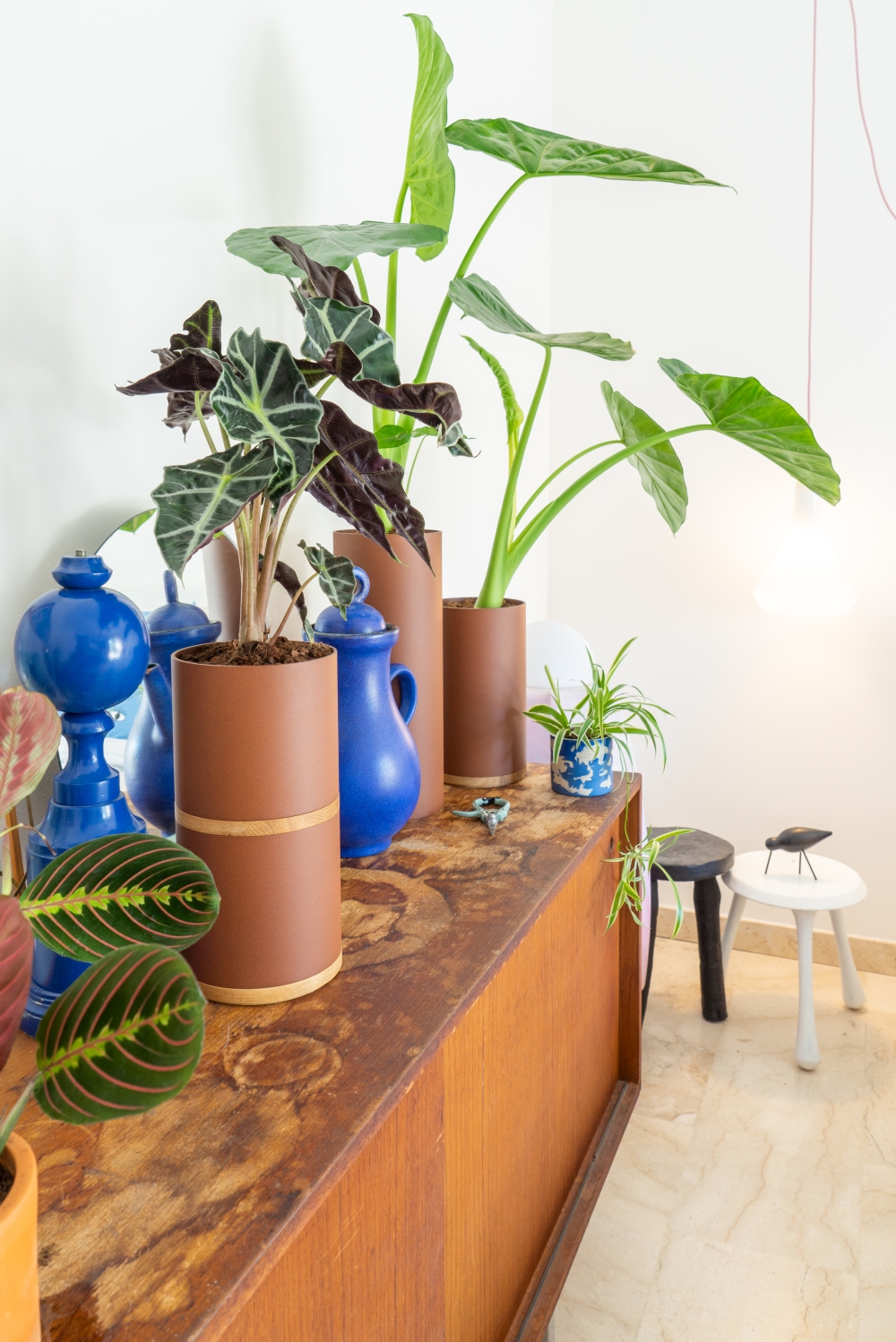 JOELIX.com | Plant Collectors VIJ5 dutch design #urbanjunglebloggers