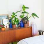 JOELIX.com | Plant Collectors VIJ5 dutch design #urbanjunglebloggers