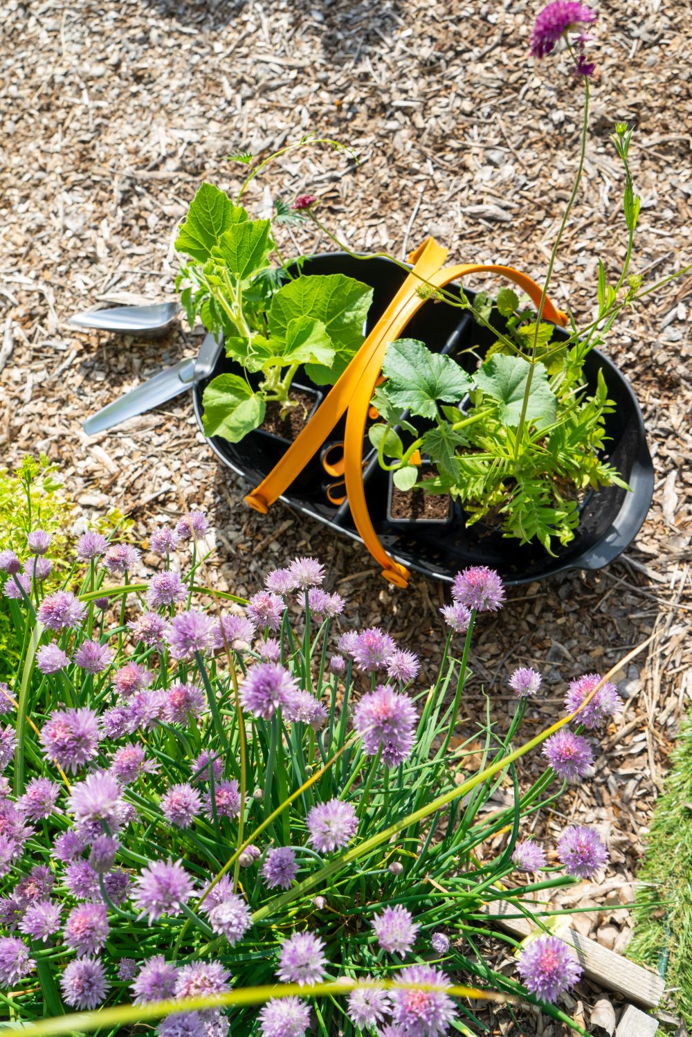 JOELIX.com | Fiskars Happy Bees gardening tools waterwheels