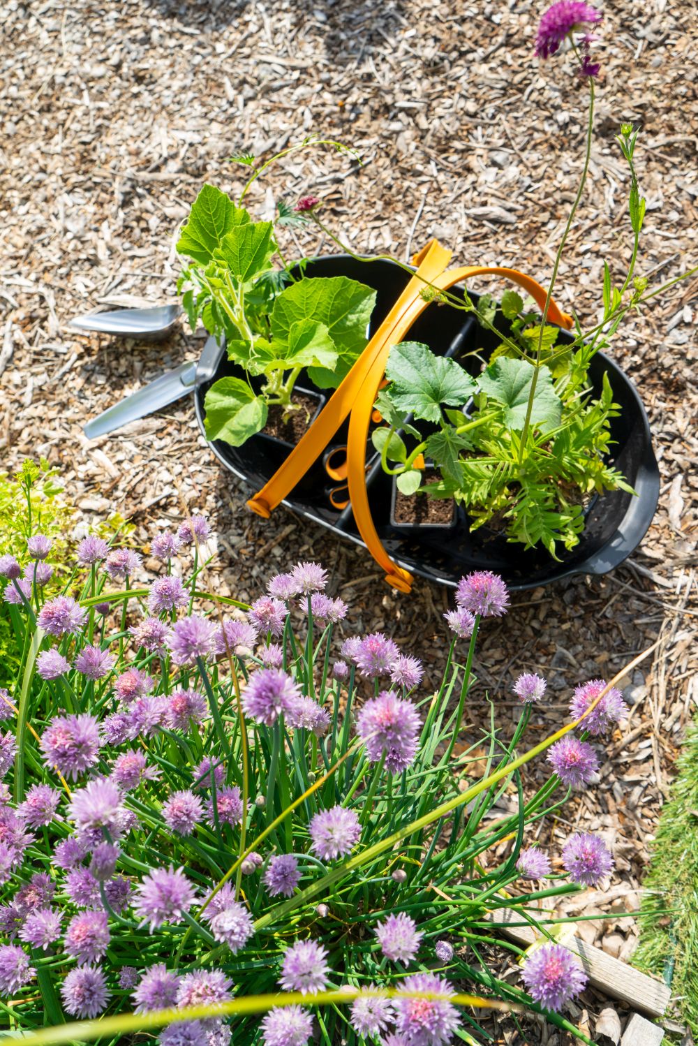 JOELIX.com | Fiskars Happy Bees gardening tools waterwheels