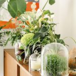 JOELIX.com | Spring Collection H&M Home with houseplants and Urban Jungle Bloggers