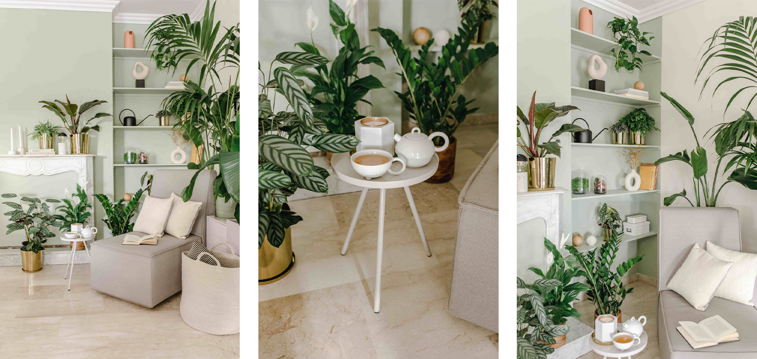 JOELIX.com | Spring Collection H&M Home with houseplants and Urban Jungle Bloggers