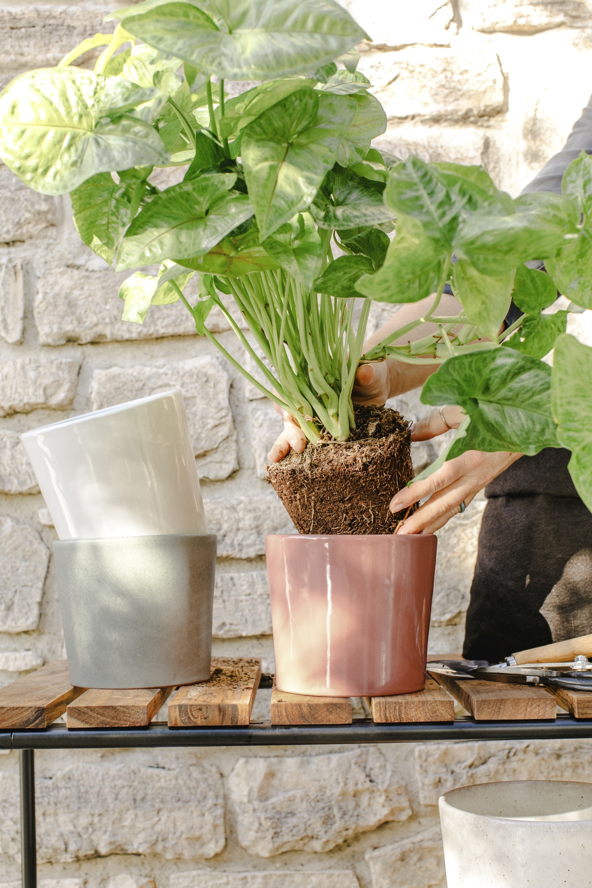 JOELIX.com | Spring Collection H&M Home with houseplants and Urban Jungle Bloggers