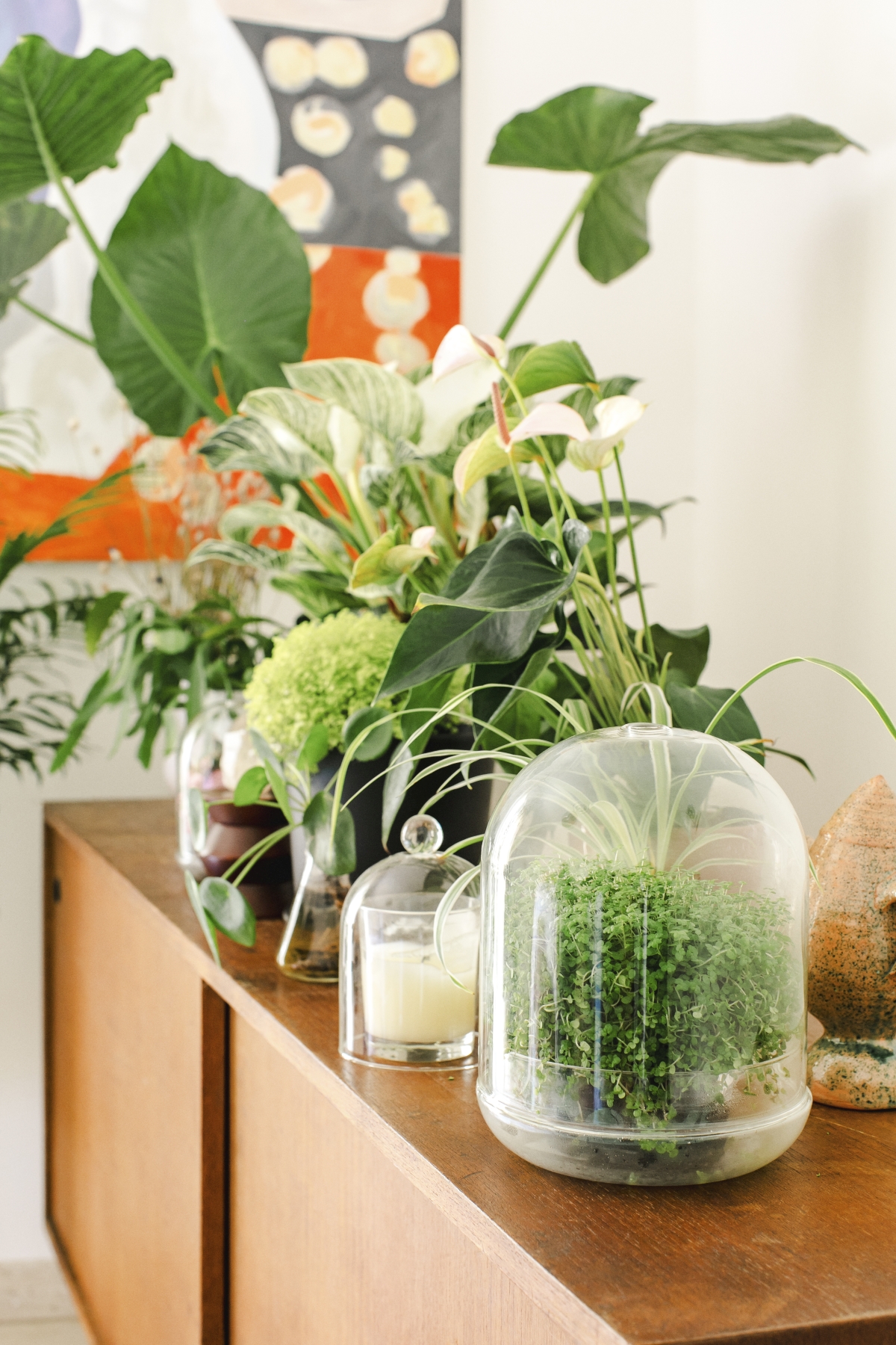 JOELIX.com | Spring Collection H&M Home with houseplants and Urban Jungle Bloggers