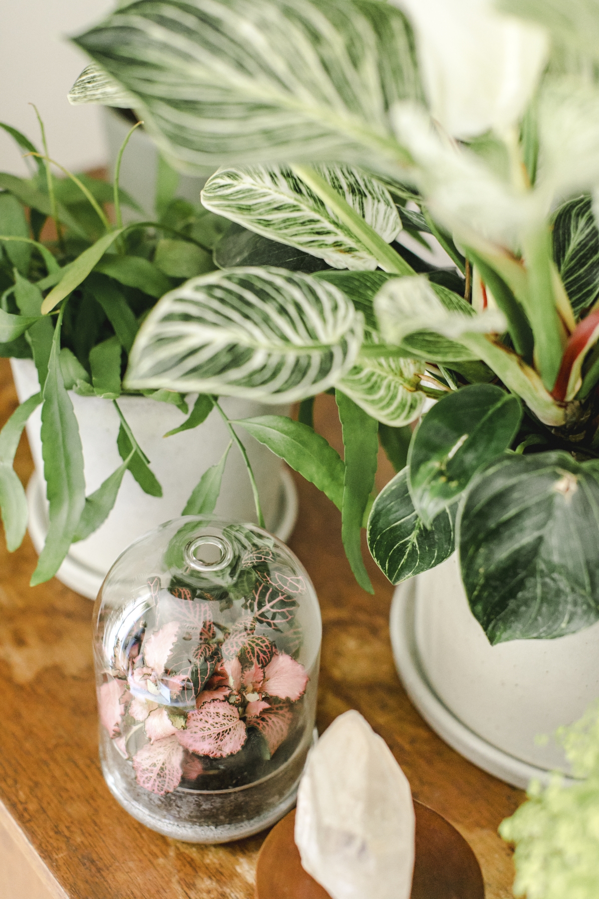 JOELIX.com | Spring Collection H&M Home with houseplants and Urban Jungle Bloggers