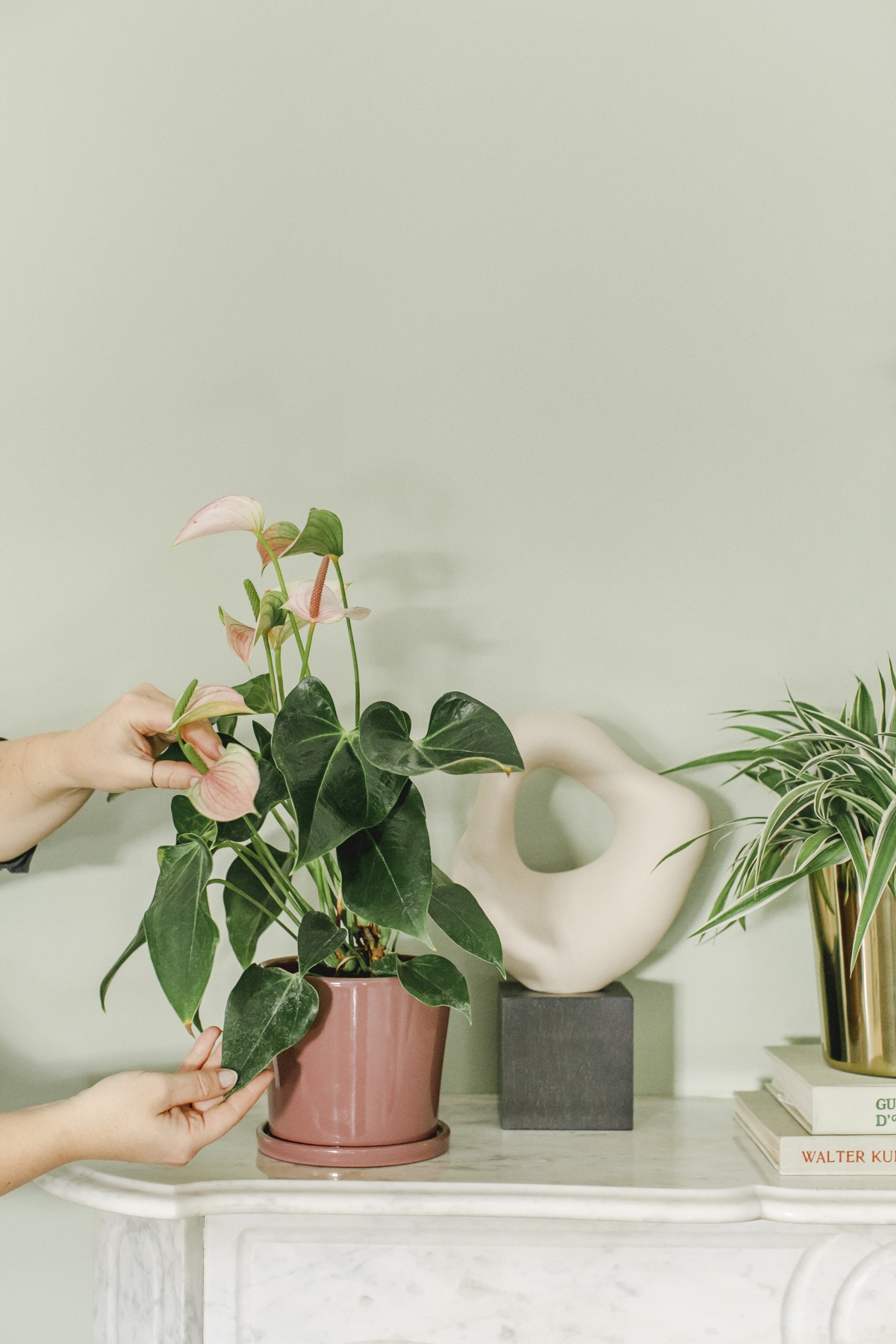JOELIX.com | Spring Collection H&M Home with houseplants and Urban Jungle Bloggers