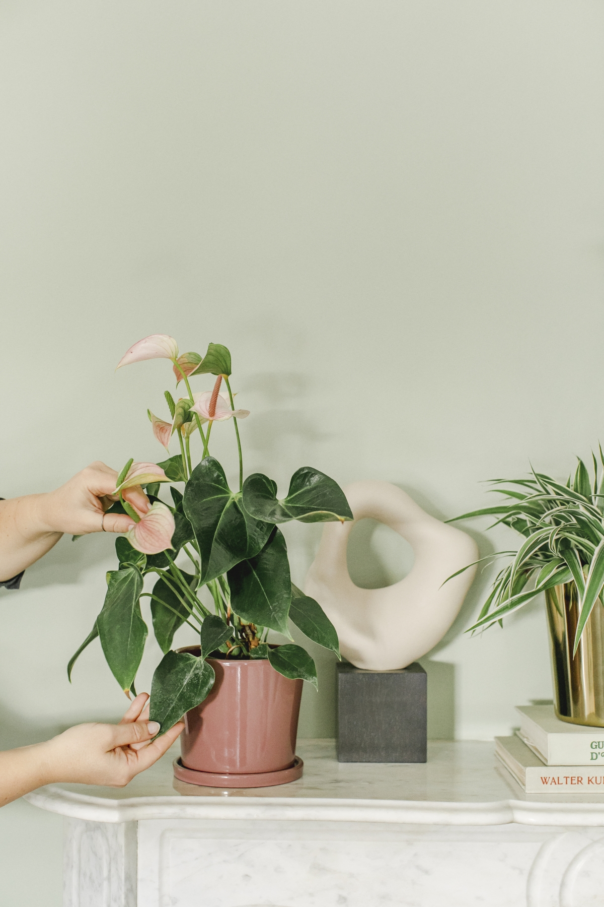 JOELIX.com | Spring Collection H&M Home with houseplants and Urban Jungle Bloggers