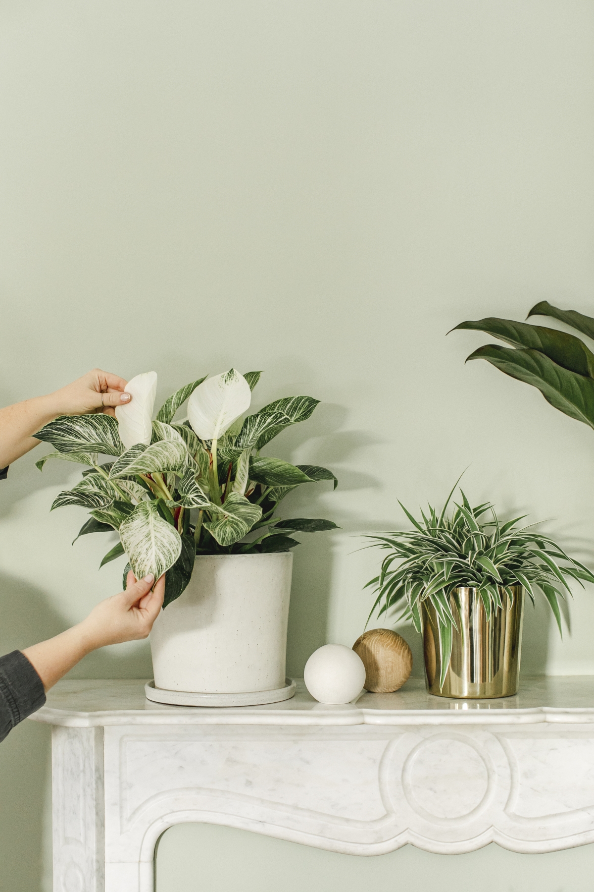 JOELIX.com | Spring Collection H&M Home with houseplants and Urban Jungle Bloggers