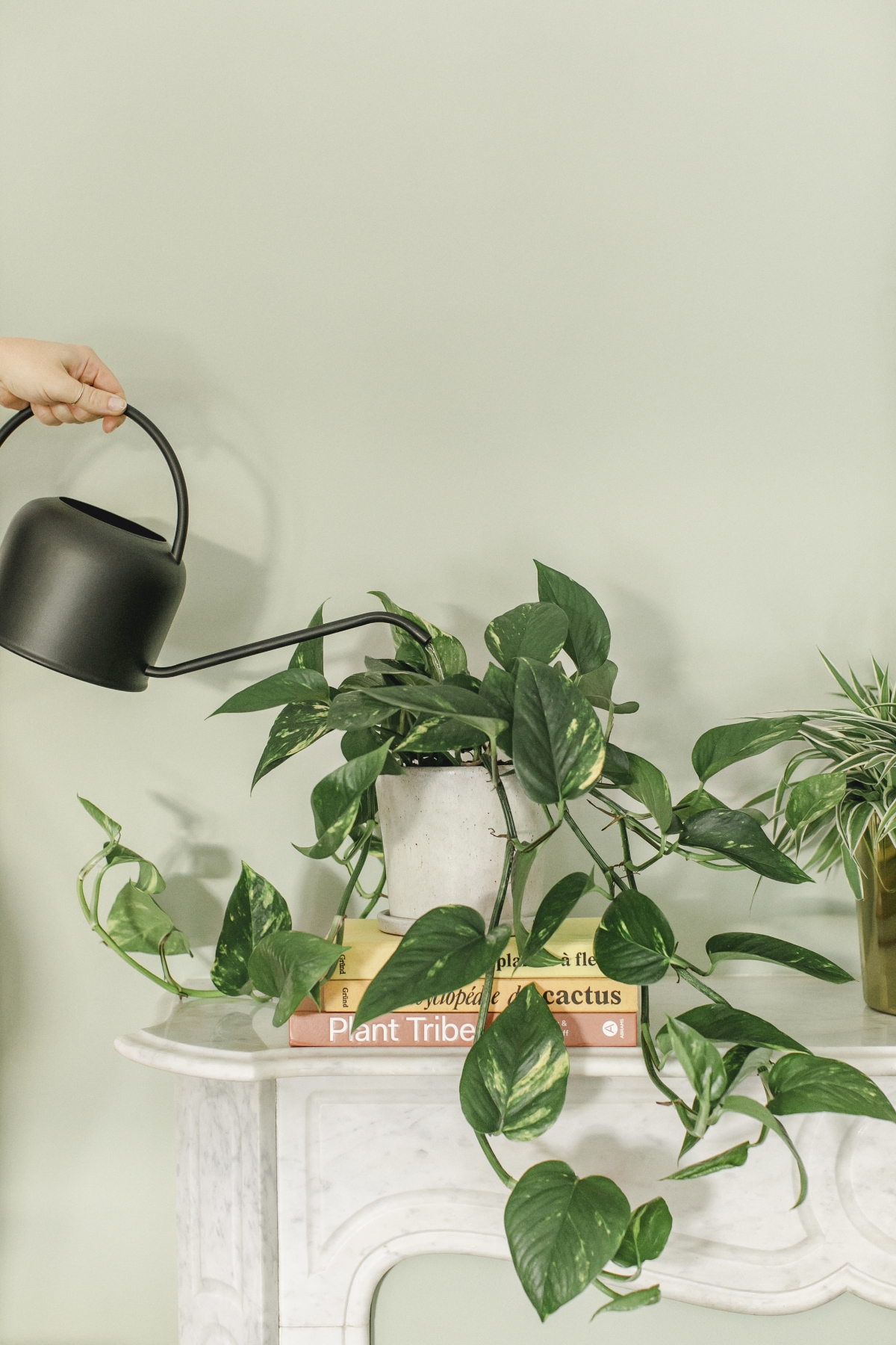 JOELIX.com | Spring Collection H&M Home with houseplants and Urban Jungle Bloggers