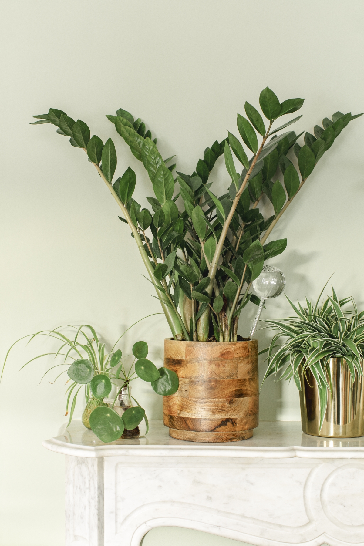 JOELIX.com | Spring Collection H&M Home with houseplants and Urban Jungle Bloggers