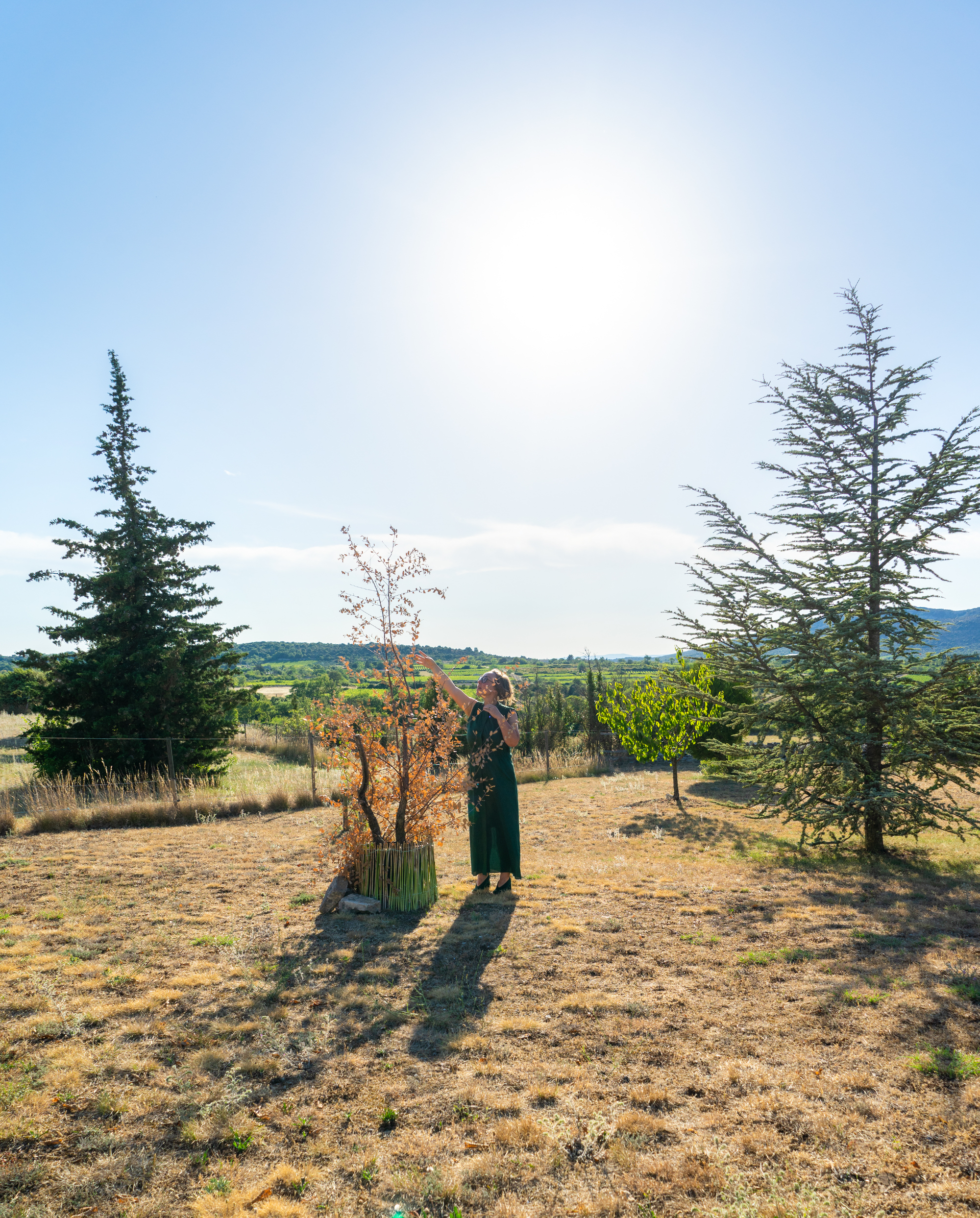 JOELIX.com | Planting trees with Arbres & Co Mainaud Pépinieres Yuzu tree chene liege