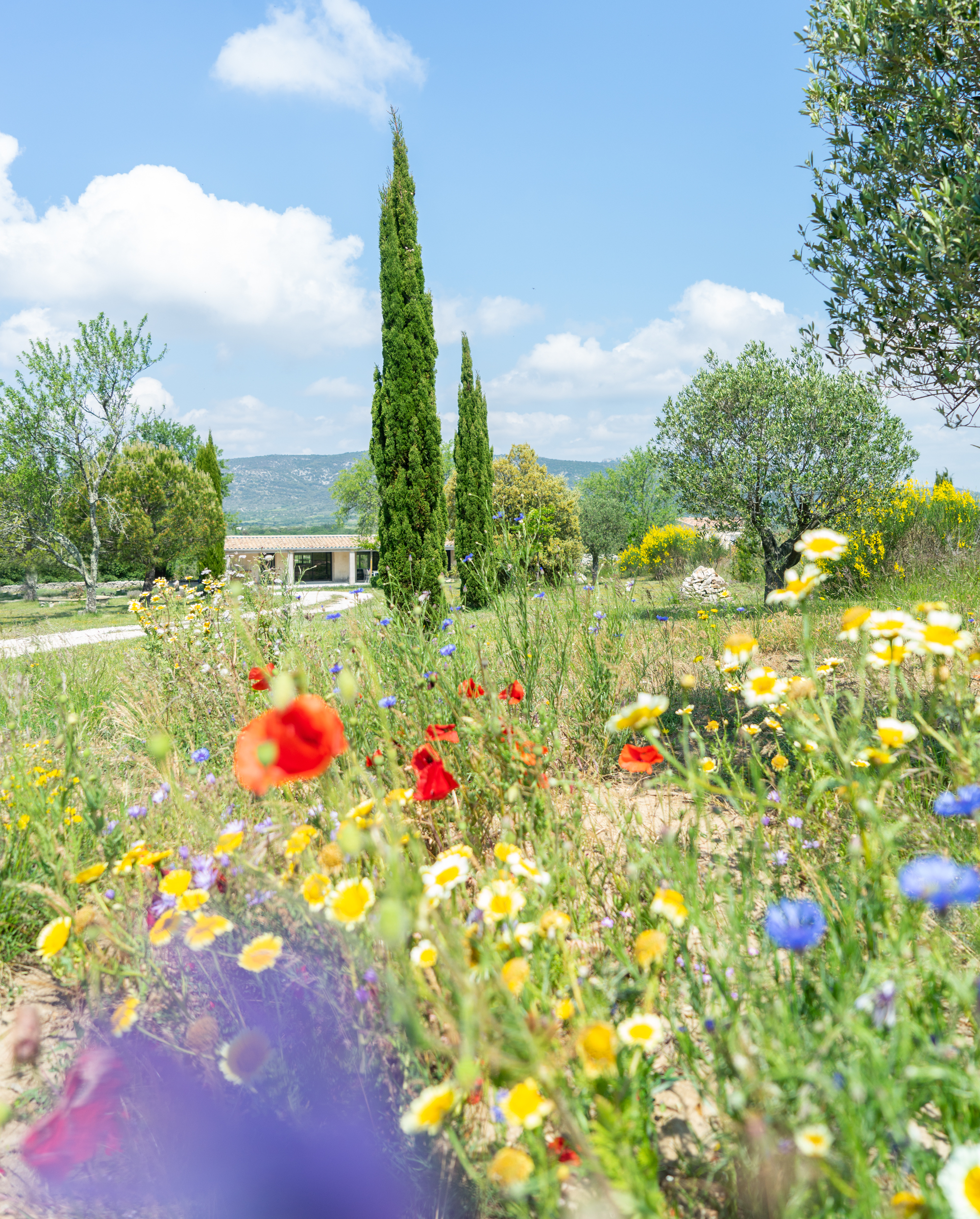 JOELIX.com | Petite Maison Triangles - renovation in Ardeche France