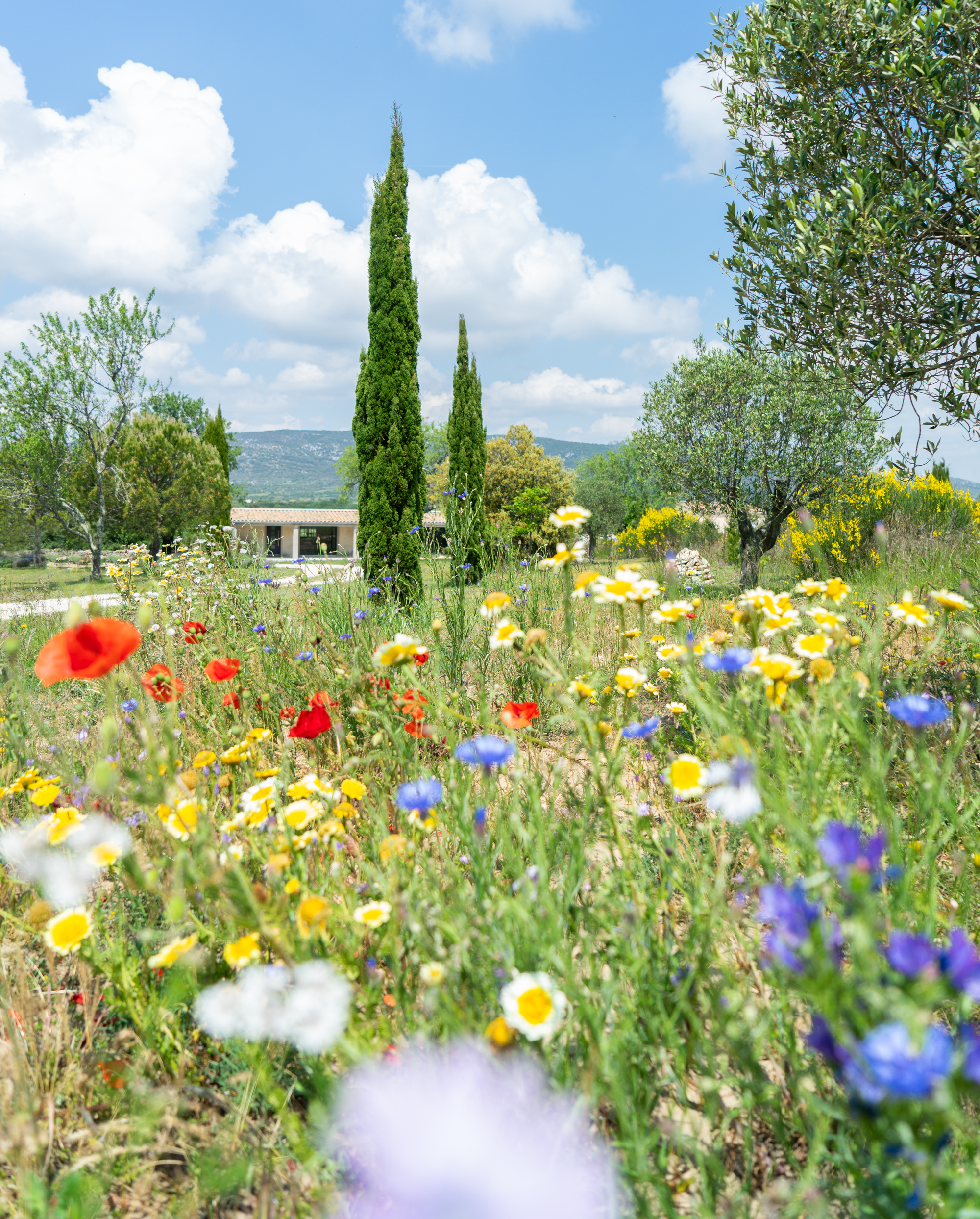 JOELIX.com | Petite Maison Triangles - renovation in Ardeche France